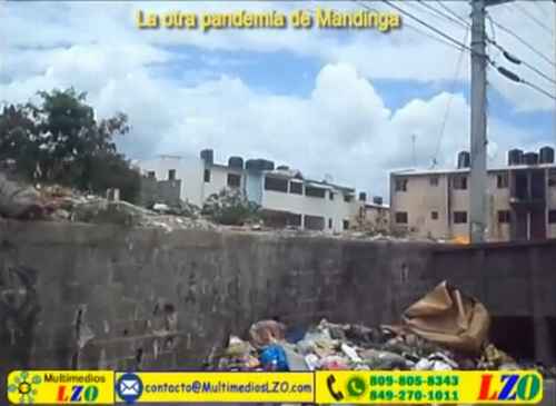 la otra pandemia de mandinga