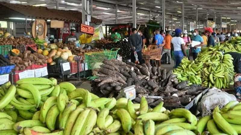 productos agricolas