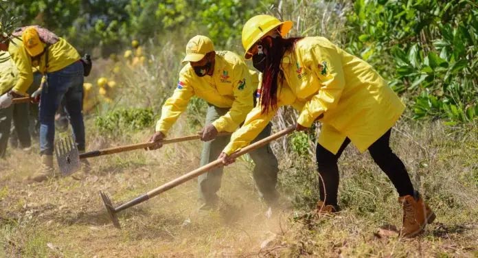 bomberos forestales