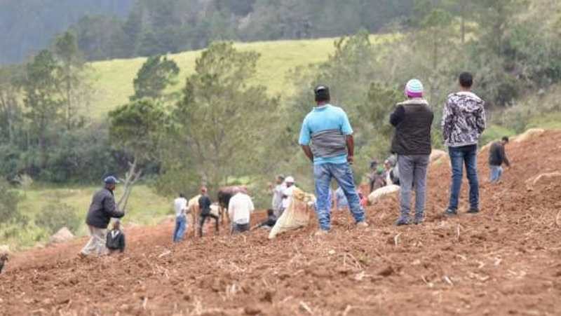 campesinos valle nuevo