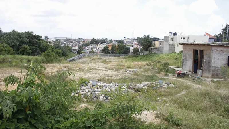 liceo emiliano tardif